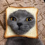 [BreadCat]ShaurMyaU