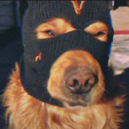 她说不会离开我