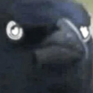 enormous willy haver