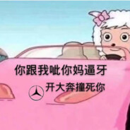 别带脑子 听我指挥就行