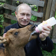 Весёлый Роджер