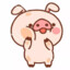 pig frae