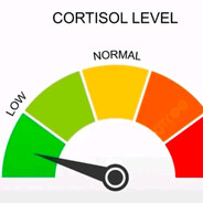 LOW CORTISOL avatar