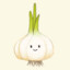 Onion