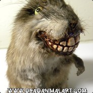 Muskrat