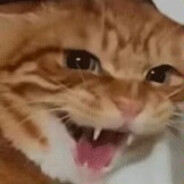 鸡排阳离子聚合