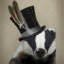 Dapper Badger
