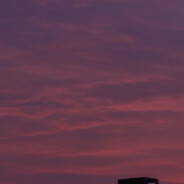 屋里有蛇，她说蛇在外面，我说蛇在里面