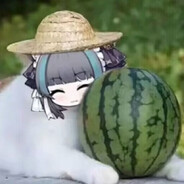 超级猪咪柴郡大王