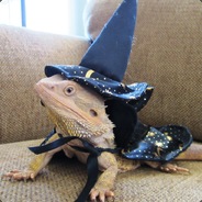 Lizard Wizard