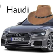 Haudi