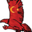 Eagle Of The TURK