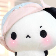 白鸽