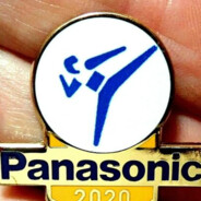 Tхэквондо_panasonic