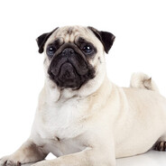 黑屁股#Summerrust