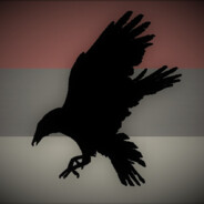 raven - steam id 76561199098107134