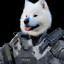 Marks Barks