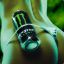 Monster Energy