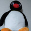 Pingu