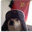 Soviet Space Dog