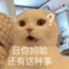 QQ