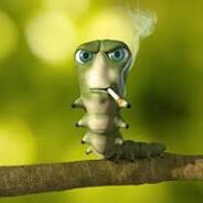 ZIGAMET