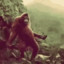 Orangutan gang