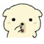 dongy