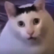 помяукаем?'s Avatar