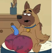 遇事不决，可问春风