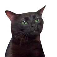 Wobsn's avatar