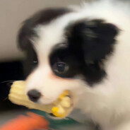 糖炒炒炒炒炒炒炒炒炒