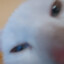 pep