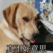 海鸥倒挂在路灯