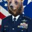 GeneralBrownBear