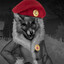 The fox who sold the world