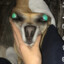Nuggetgod5000