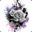 rosee2726
