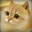 tacocat