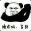 dsadqda