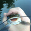 Fishing4Catfish