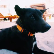 别猫了我瞄你好久