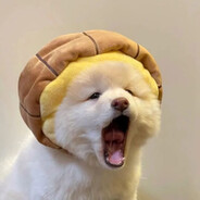 A开心快乐每一天