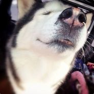 不要扶我，我还可以送