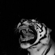 seKiii_ avatar