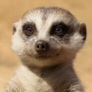 在等一次意外死亡