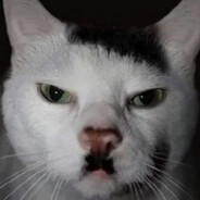 Kitler