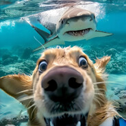 狂拽炫酷懒大王