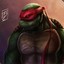 RAPHAEL