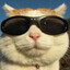 alzone's avatar